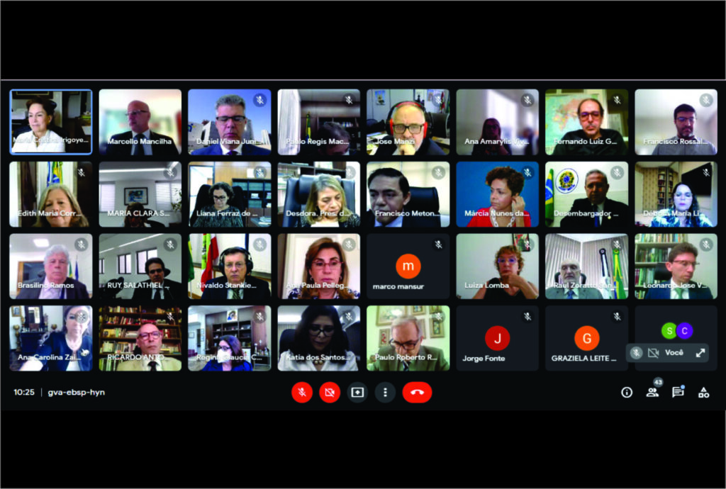 Print de tela da reunião do Coleprecor, realizada pelo Google Meet